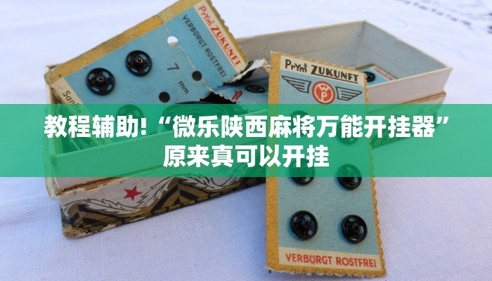 教程辅助!“微乐陕西麻将万能开挂器”原来真可以开挂