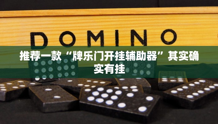 推荐一款“牌乐门开挂辅助器”其实确实有挂