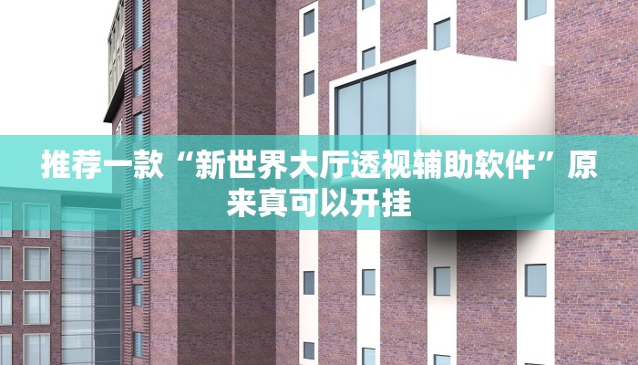 推荐一款“新世界大厅透视辅助软件”原来真可以开挂