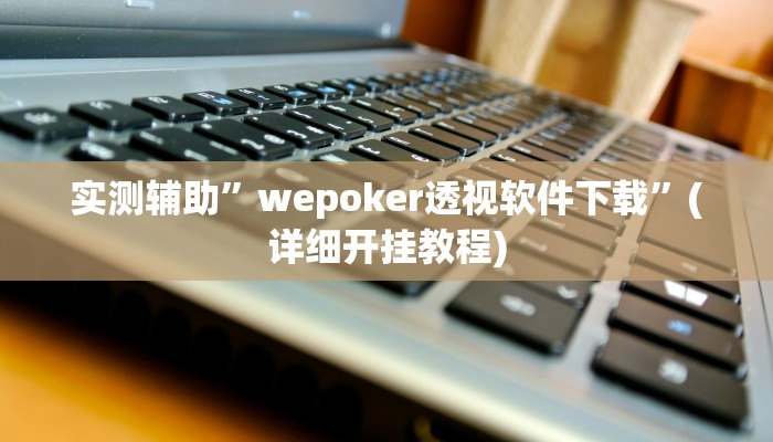实测辅助”wepoker透视软件下载”(详细开挂教程)
