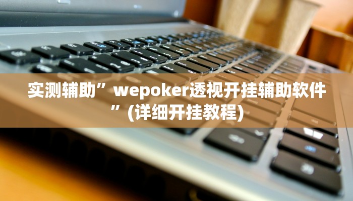 实测辅助”wepoker透视开挂辅助软件”(详细开挂教程)