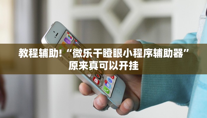 教程辅助!“微乐干瞪眼小程序辅助器”原来真可以开挂