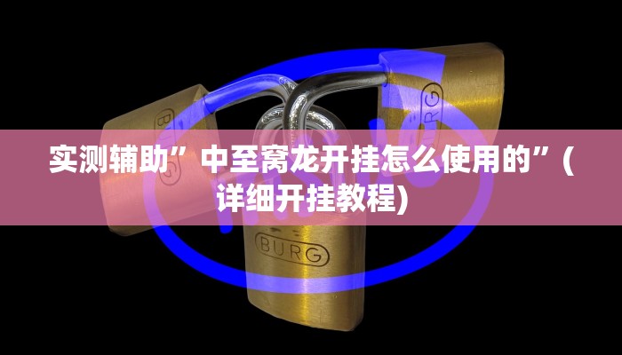实测辅助”中至窝龙开挂怎么使用的”(详细开挂教程)