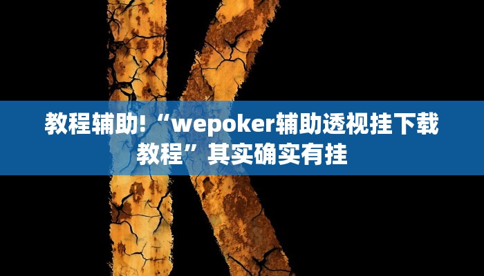 教程辅助!“wepoker辅助透视挂下载教程”其实确实有挂