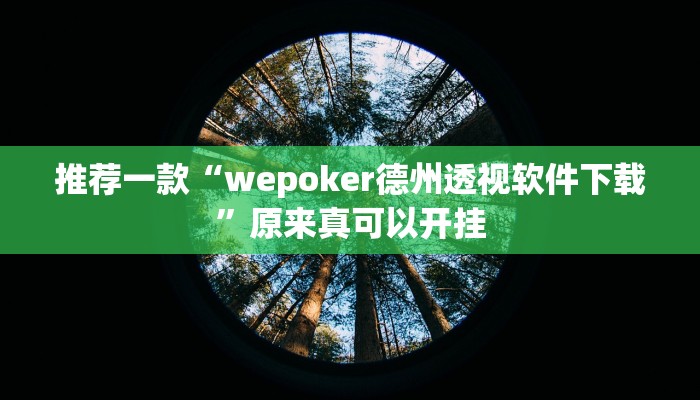 推荐一款“wepoker德州透视软件下载”原来真可以开挂