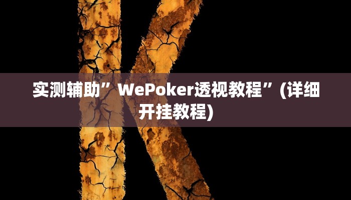 实测辅助”WePoker透视教程”(详细开挂教程)