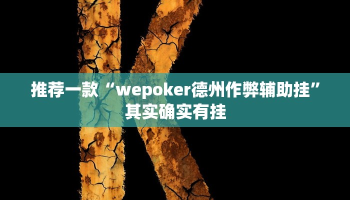 教程辅助!“德州wepoker作弊有没有”其实确实有挂