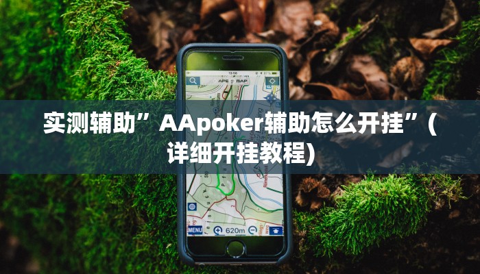 实测辅助”AApoker辅助怎么开挂”(详细开挂教程)