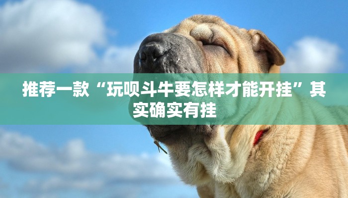 推荐一款“玩呗斗牛要怎样才能开挂”其实确实有挂