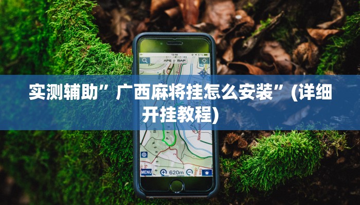 推荐一款“哈灵麻将外卦神器使用方法”原来真可以开挂