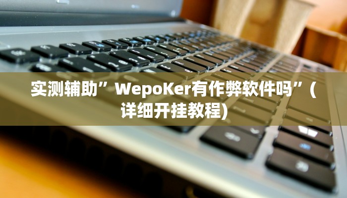 实测辅助”WepoKer有作弊软件吗”(详细开挂教程)