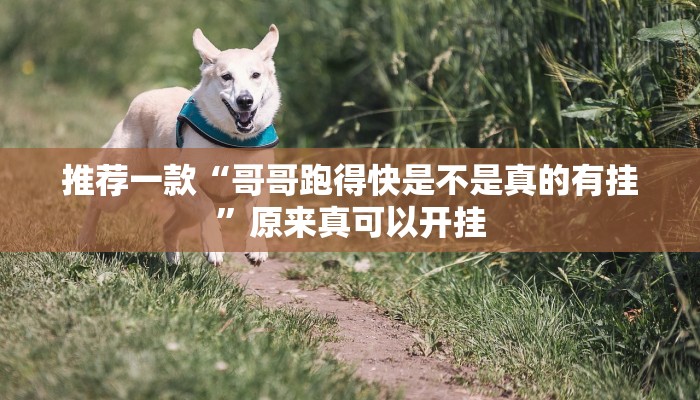 推荐一款“哥哥跑得快是不是真的有挂”原来真可以开挂