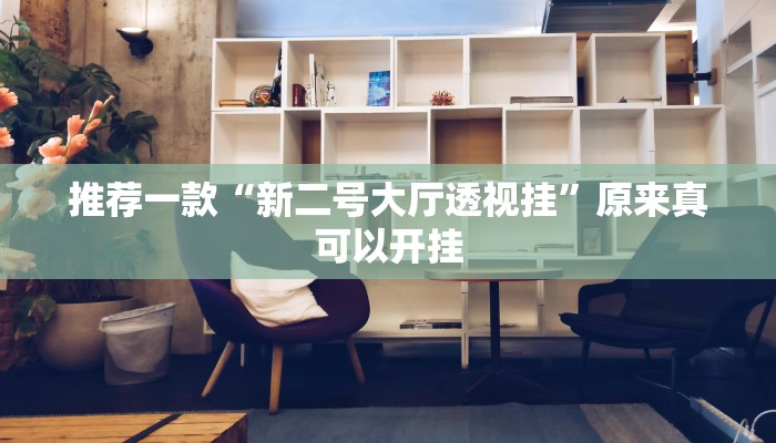 推荐一款“新二号大厅透视挂”原来真可以开挂