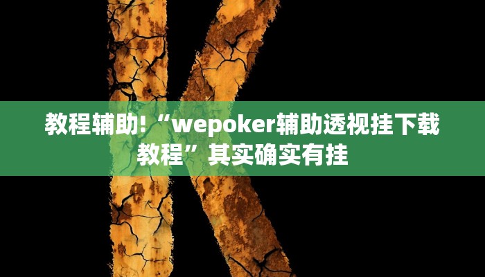 教程辅助!“wepoker辅助透视挂下载教程”其实确实有挂