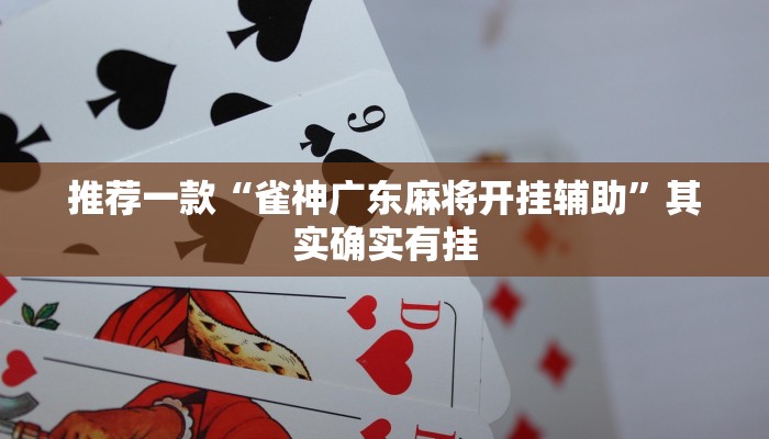 推荐一款“雀神广东麻将开挂辅助”其实确实有挂