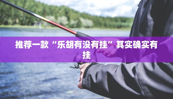 推荐一款“乐胡有没有挂”其实确实有挂