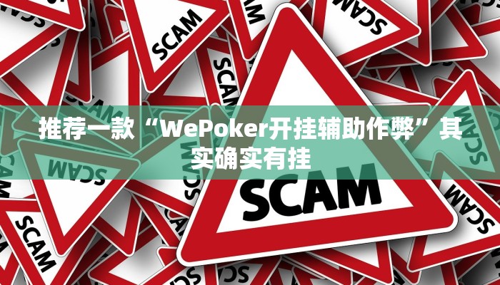推荐一款“WePoker开挂辅助作弊”其实确实有挂