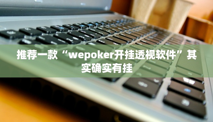 推荐一款“wepoker开挂透视软件”其实确实有挂