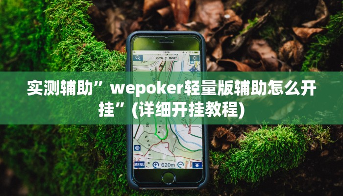 实测辅助”wepoker轻量版辅助怎么开挂”(详细开挂教程)