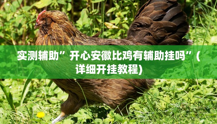 实测辅助”开心安徽比鸡有辅助挂吗”(详细开挂教程)