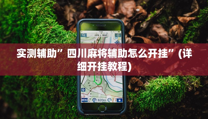 实测辅助”四川麻将辅助怎么开挂”(详细开挂教程)