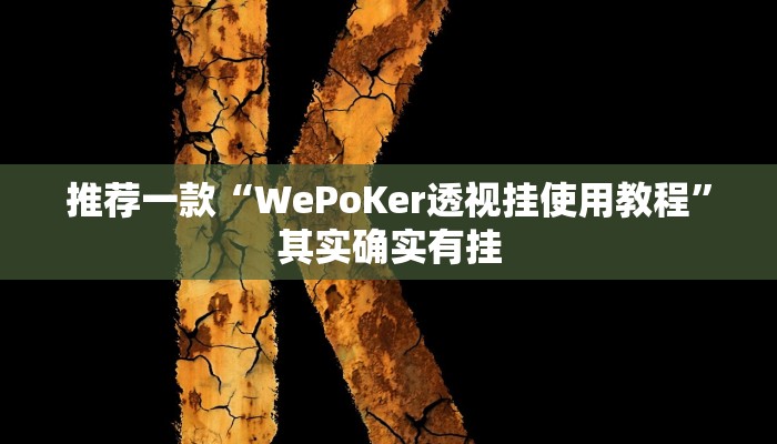 推荐一款“WePoKer透视挂使用教程”其实确实有挂