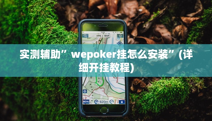 实测辅助”wepoker挂怎么安装”(详细开挂教程)