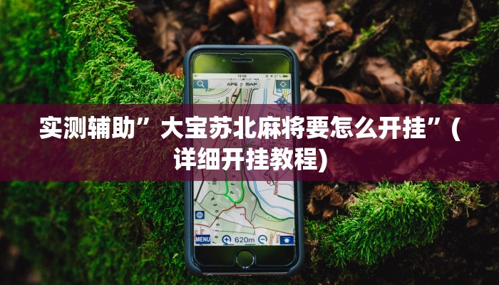 实测辅助”大宝苏北麻将要怎么开挂”(详细开挂教程)