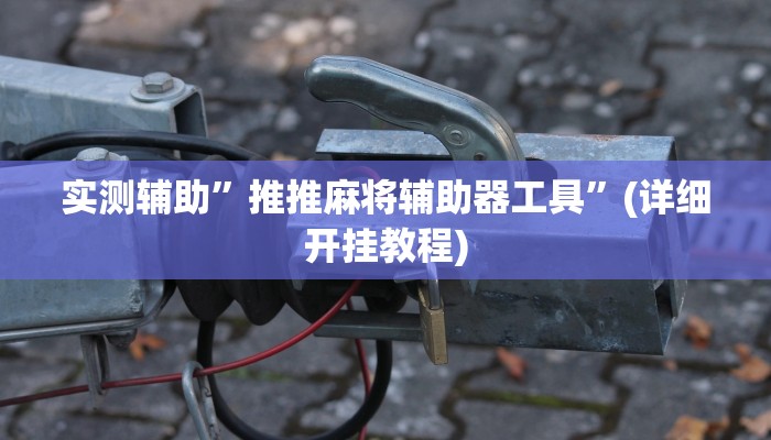 实测辅助”推推麻将辅助器工具”(详细开挂教程)