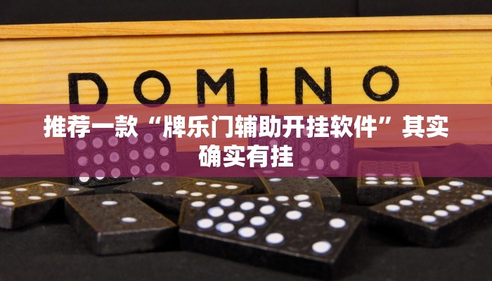 推荐一款“牌乐门辅助开挂软件”其实确实有挂