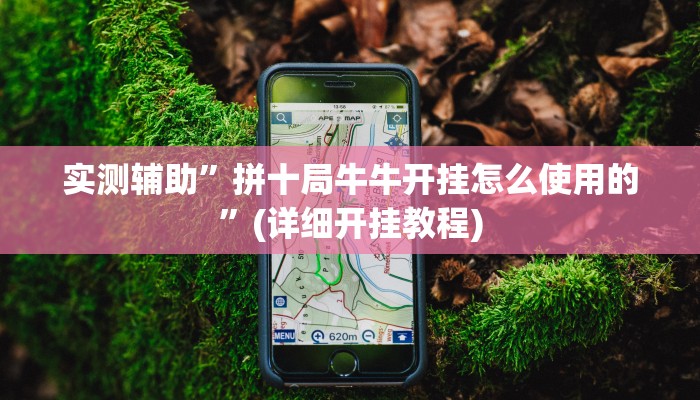 实测辅助”拼十局牛牛开挂怎么使用的”(详细开挂教程)