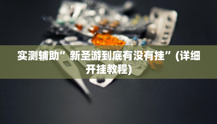 实测辅助”新圣游到底有没有挂”(详细开挂教程)