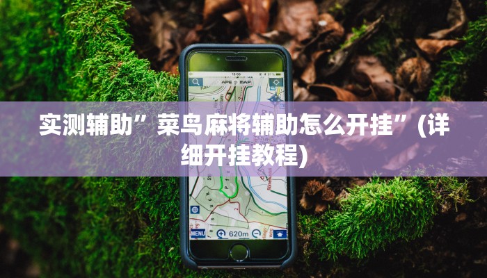 实测辅助”菜鸟麻将辅助怎么开挂”(详细开挂教程)