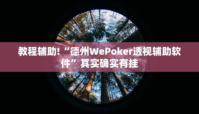 教程辅助!“德州WePoker透视辅助软件”其实确实有挂