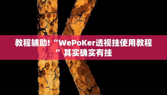 教程辅助!“WePoKer透视挂使用教程”其实确实有挂