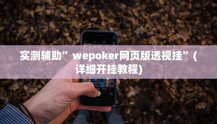 实测辅助”wepoker网页版透视挂”(详细开挂教程)