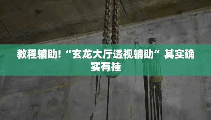 教程辅助!“玄龙大厅透视辅助”其实确实有挂