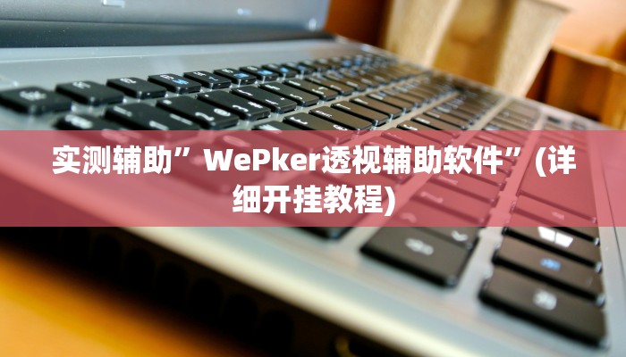 实测辅助”WePker透视辅助软件”(详细开挂教程)