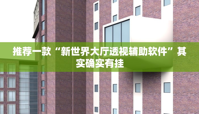 推荐一款“新世界大厅透视辅助软件”其实确实有挂
