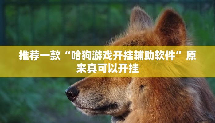 推荐一款“哈狗游戏开挂辅助软件”原来真可以开挂
