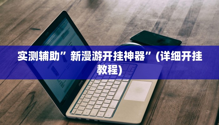 实测辅助”新漫游开挂神器”(详细开挂教程)