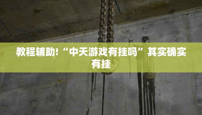 教程辅助!“中天游戏有挂吗”其实确实有挂