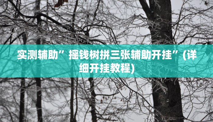 实测辅助”摇钱树拼三张辅助开挂”(详细开挂教程)