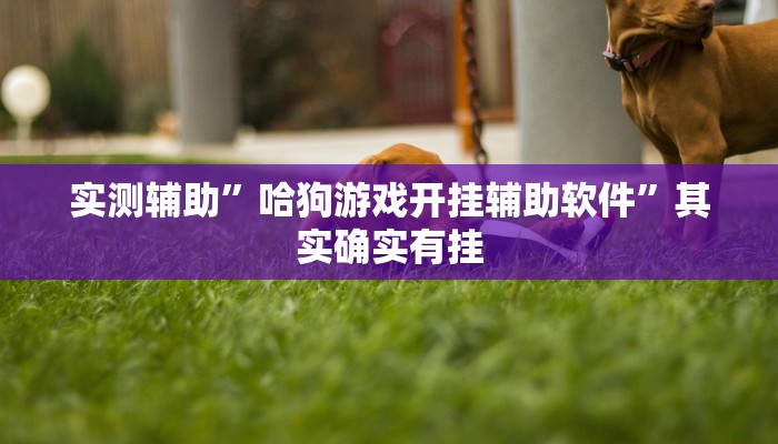 实测辅助”哈狗游戏开挂辅助软件”其实确实有挂