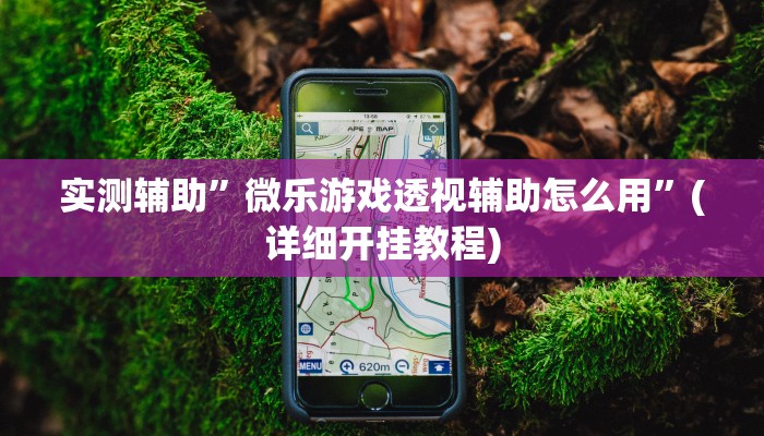 实测辅助”微乐游戏透视辅助怎么用”(详细开挂教程)