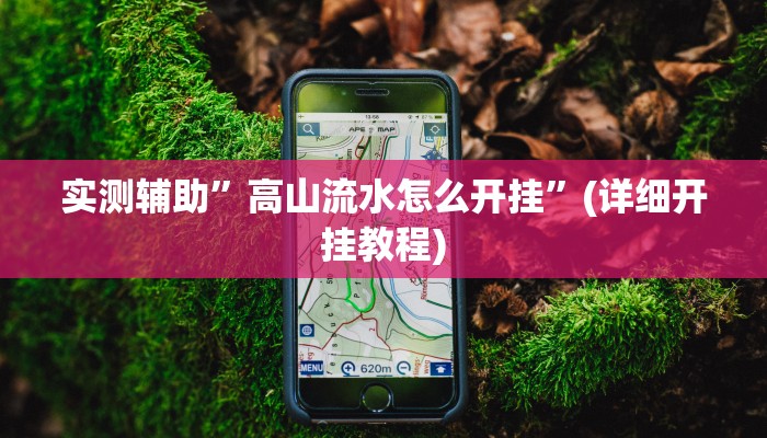 实测辅助”高山流水怎么开挂”(详细开挂教程)