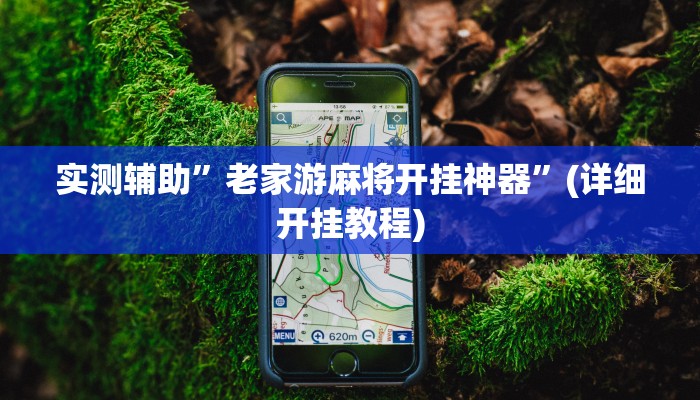 实测辅助”老家游麻将开挂神器”(详细开挂教程)