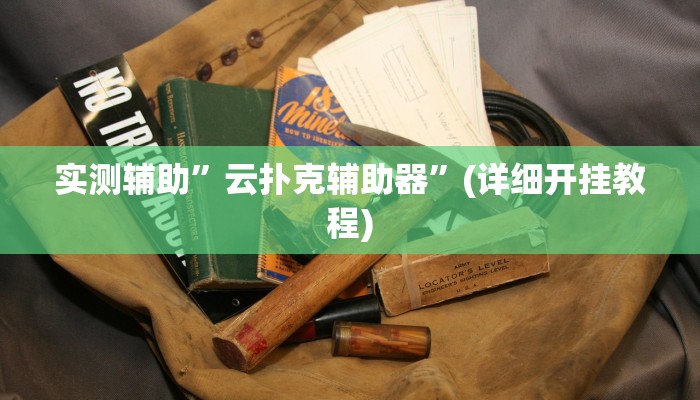 实测辅助”云扑克辅助器”(详细开挂教程)