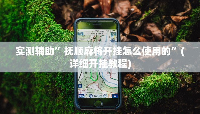 实测辅助”抚顺麻将开挂怎么使用的”(详细开挂教程)