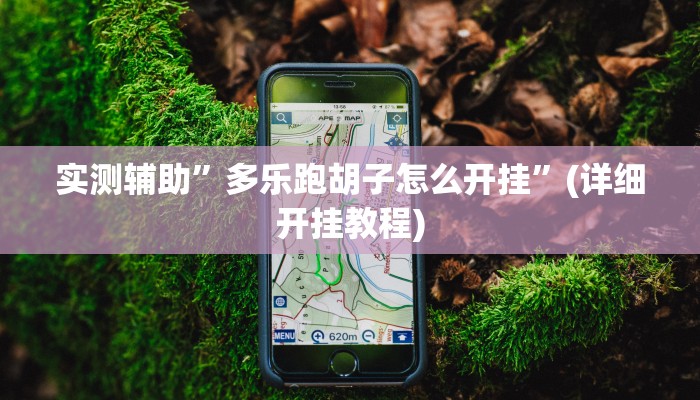 实测辅助”多乐跑胡子怎么开挂”(详细开挂教程)